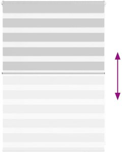 vidaXL Roleta zebra, jasnoszara, szerokość tkaniny 105,9cm, poliester 5