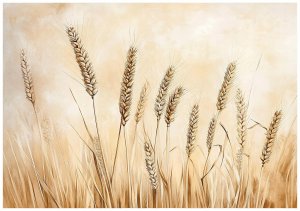 FOTOTAPETA BOHO POLE BEŻOWA NATURA SYPIALNIA SALON TAPETA FLIZELINA 150x105 1