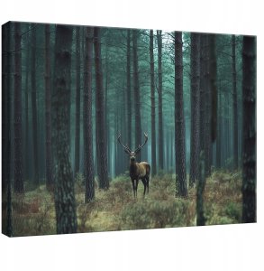OBRAZ DO SYPIALNI SALONU KUCHNI JELEŃ NATURA LAS NA PŁÓTNIE ŚCIANĘ 120x80 1