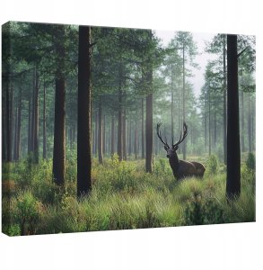 OBRAZ DO SYPIALNI SALONU KUCHNI JELEŃ NATURA LAS NA PŁÓTNIE ŚCIANĘ 60x40 1