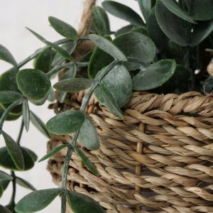 Sztuczna roślina wisząca EUCALYPTUS, 78 cm 2