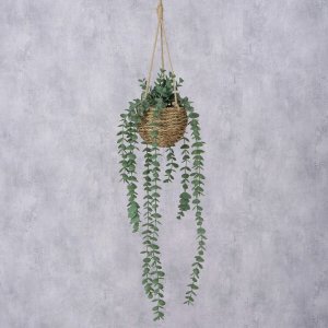 Sztuczna roślina wisząca EUCALYPTUS, 78 cm 4