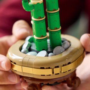 LEGO Botanicals Dracena sandera 6 szt.(10344) 7