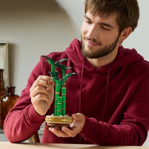 LEGO Botanicals Dracena sandera 6 szt.(10344) 2