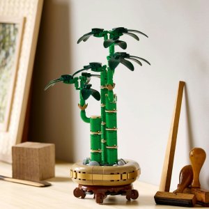 LEGO Botanicals Dracena sandera 6 szt.(10344) 4