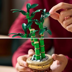 LEGO Botanicals Dracena sandera 6 szt.(10344) 5