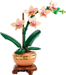 LEGO Botanicals Mała orchidea 6 szt. (10343) 8