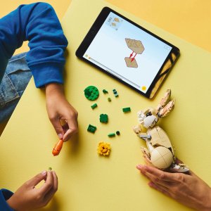 LEGO Creator Uroczy króliczek 6 szt. (31162) 2