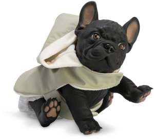 Piesek Nono Buldog Francuski Asi 0618070 1