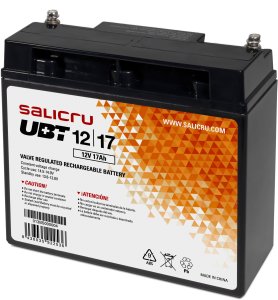 Zasilacz awaryjny UPS Interaktywny Salicru 013BS000004 12 V 1
