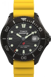 Zegarek męski Timex TW2W81700 żółty 1