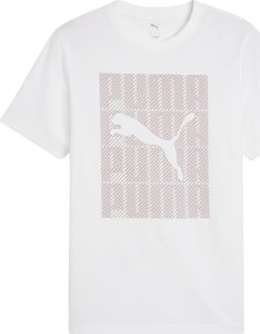 Koszulka męska Puma Graphics Wording Tee biała 684825 02 S 1