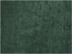 Dywan z krótkim włosiem Soft Zone - zielony, 120 x 170 cm 1