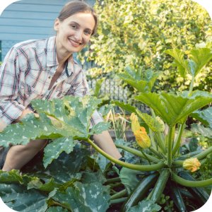 Karate Spray RTU 1l (lambda-cyhalotryna) Twój Ogród - środek owadobójczy 14