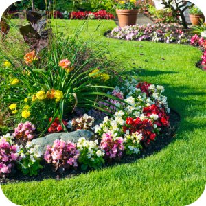 Karate Spray RTU 1l (lambda-cyhalotryna) Twój Ogród - środek owadobójczy 6