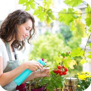 Miedzian 50 WP (tlenochlorek miedzi) Twój Ogród - środek grzybobójczy 20 g 14