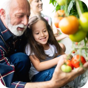 Nawóz ASX Miedź Plus New 50 WP (trihydroksychlorek miedzi) Twój Ogród - warzywa i owoce 8