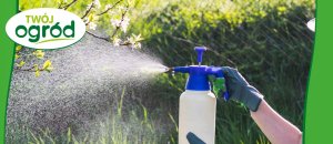 Syllit 65 WP Twój Ogród - środek grzybobójczy 5 g 13