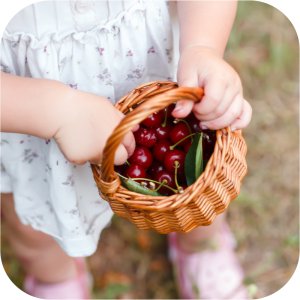 Syllit 65 WP Twój Ogród - środek grzybobójczy 5 g 6