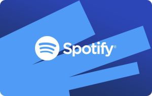 Spotify Premium 120 zł (SPOTIFDD03) 1