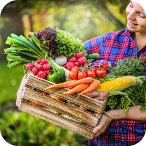 Amistar 250 SC (azoksystrobina) Twój Ogród - środek grzybobójczy 5ml 6