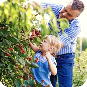 Ortus 05 SC (fenpiroksymat) Twój Ogród - środek przędziorkobójczy 5ml 7