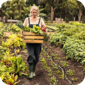 Revus 250 SC (mandipropamid) Twój Ogród - środek grzybobójczy 5ml 13