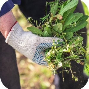 Taifun Hobby 360 SL Twój Ogród - środek na chwasty jednoliścienne i dwuliścienne 100ml 6