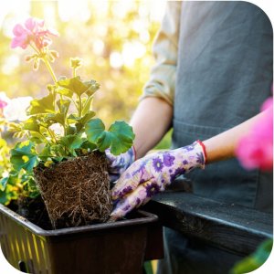 Ziemia podłoże regenerujące 5l (kwasy humusowe) Twój Ogród 5