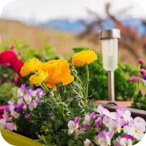 Ziemia podłoże regenerujące 5l (kwasy humusowe) Twój Ogród 6