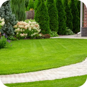 Mieszanka nasion Trawa Royal Ciemnozielona Twój Ogród z Rosahumusem 8 kg 14