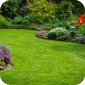 Mieszanka nasion Trawa Royal Ciemnozielona Twój Ogród z Rosahumusem 8 kg 9