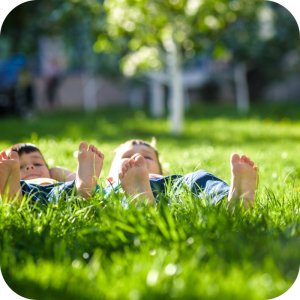 Mieszanka nasion Trawa Uniwersalna Twój Ogród 8 kg 7