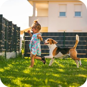 Mieszanka nasion Trawa Uniwersalna Twój Ogród 8 kg 10