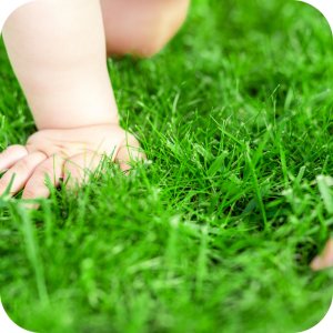 Twój Ogród Mieszanka nasion Trawa Regenerująca 8 kg 12