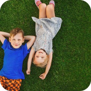 Twój Ogród Mieszanka nasion Trawa Regenerująca 8 kg 13