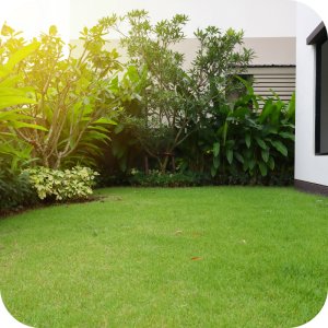 Twój Ogród Mieszanka nasion Trawa Regenerująca 8 kg 14