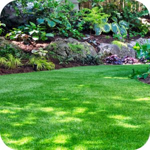 Twój Ogród Mieszanka nasion Trawa Regenerująca 8 kg 15