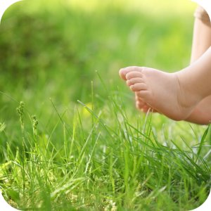 Twój Ogród Mieszanka nasion Trawa Regenerująca 4 kg 16