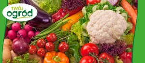 Fungistar (azoksystrobina) Twój Ogród - środek grzybobójczy 20ml 11