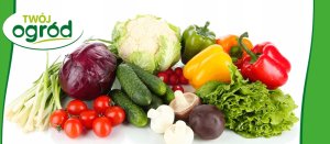 Fungistar (azoksystrobina) Twój Ogród - środek grzybobójczy 20ml 2