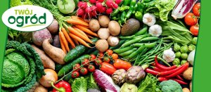 Fungistar (azoksystrobina) Twój Ogród - środek grzybobójczy 20ml 3