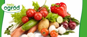 Fungistar (azoksystrobina) Twój Ogród - środek grzybobójczy 20ml 5