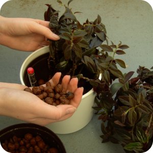 Twój Ogród Keramzyt ogrodniczy - stabilizuje wilgoć w doniczce 16l 5