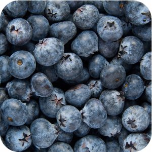 Twój Ogród Nawóz do borówek i hortensji 1kg - zmienia pH gleby (zakwasza) 5