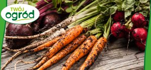 Nawóz uniwersalny Twój Ogród 4 kg 13