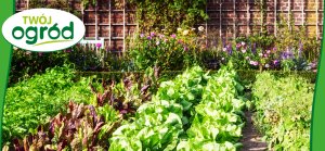 Nawóz uniwersalny Twój Ogród 4 kg 15