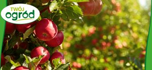 Nawóz uniwersalny Twój Ogród 4 kg 4