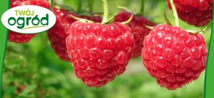 Nawóz uniwersalny Twój Ogród 4 kg 6