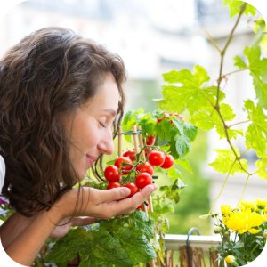 NeemAzal T/S Ziemiórki 10ml (2 x 5ml) (azadyrachtyna A) Twój Ogród - środek owadobójczy 12